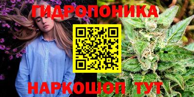 мяу мяу мука Будённовск